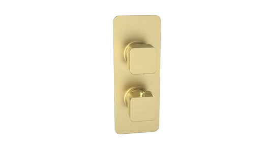 Kolt Concealed Shower Valve (Twin Outlet) Brushed Brass